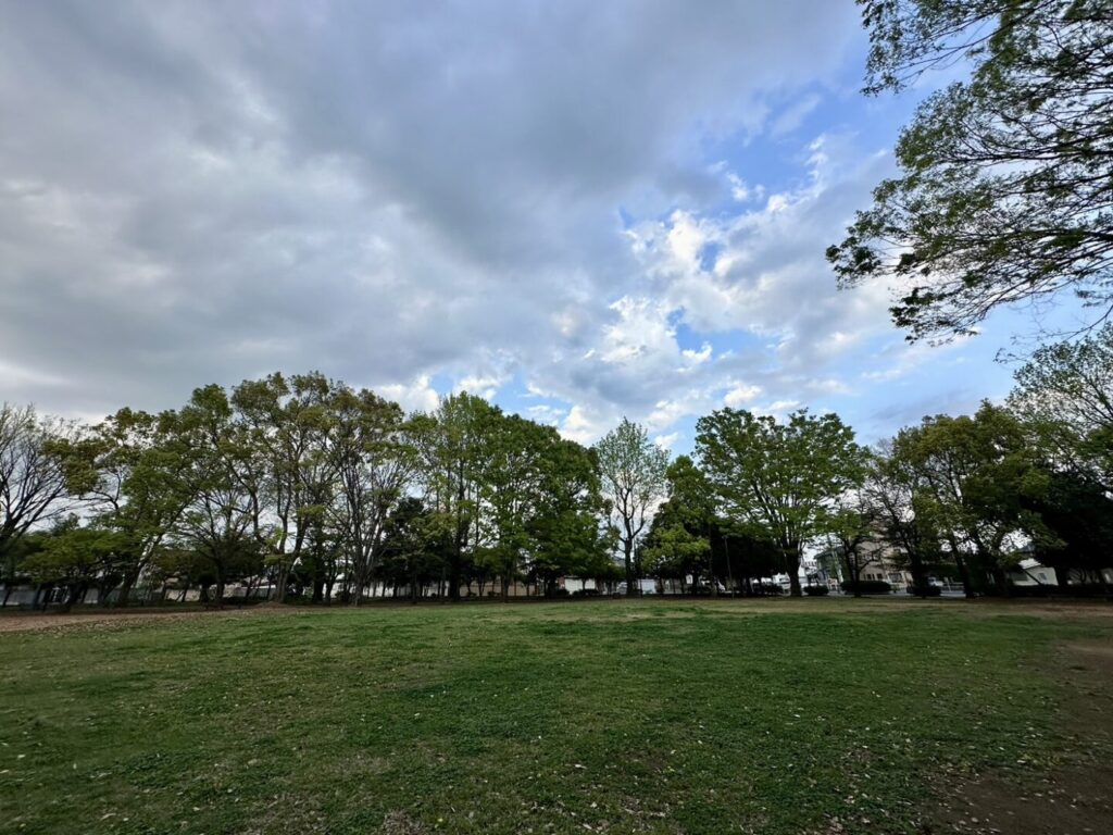 中央公園芝生エリア