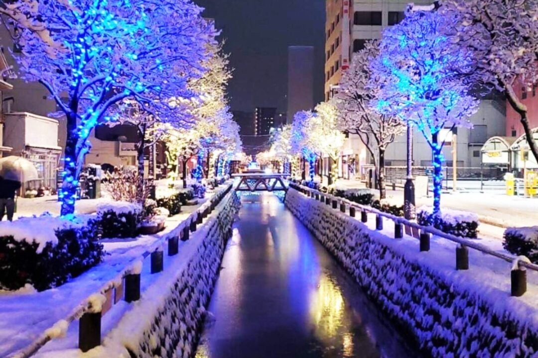 熊谷の冬を彩る【星川イルミネーション2024-2025】12月14日(土)から