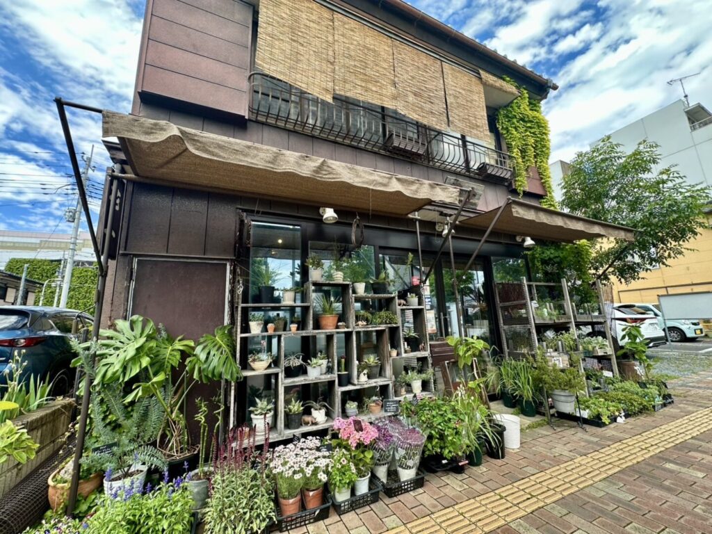 花十