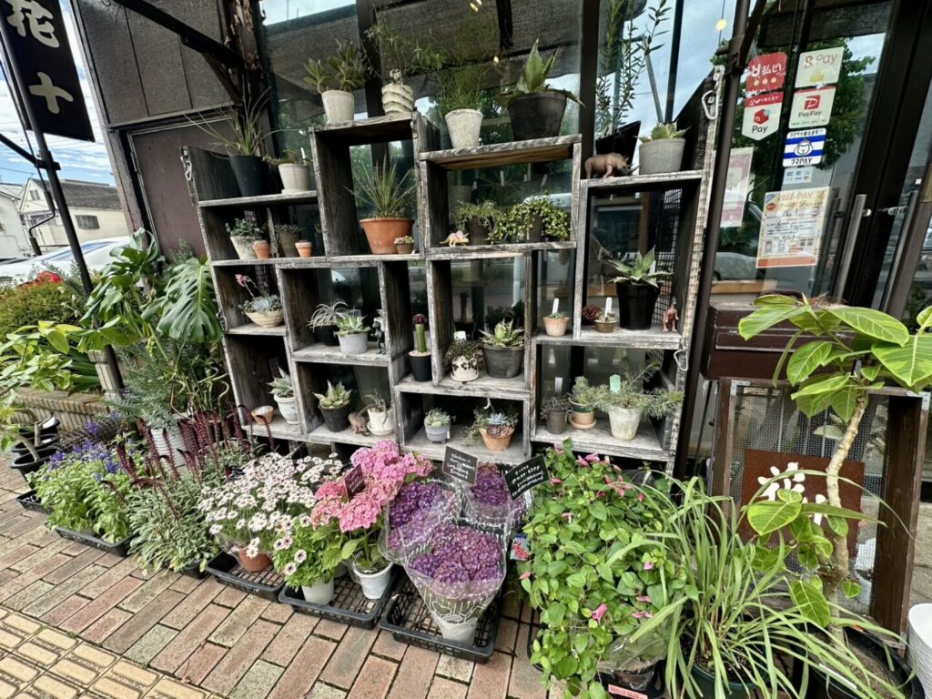 花十