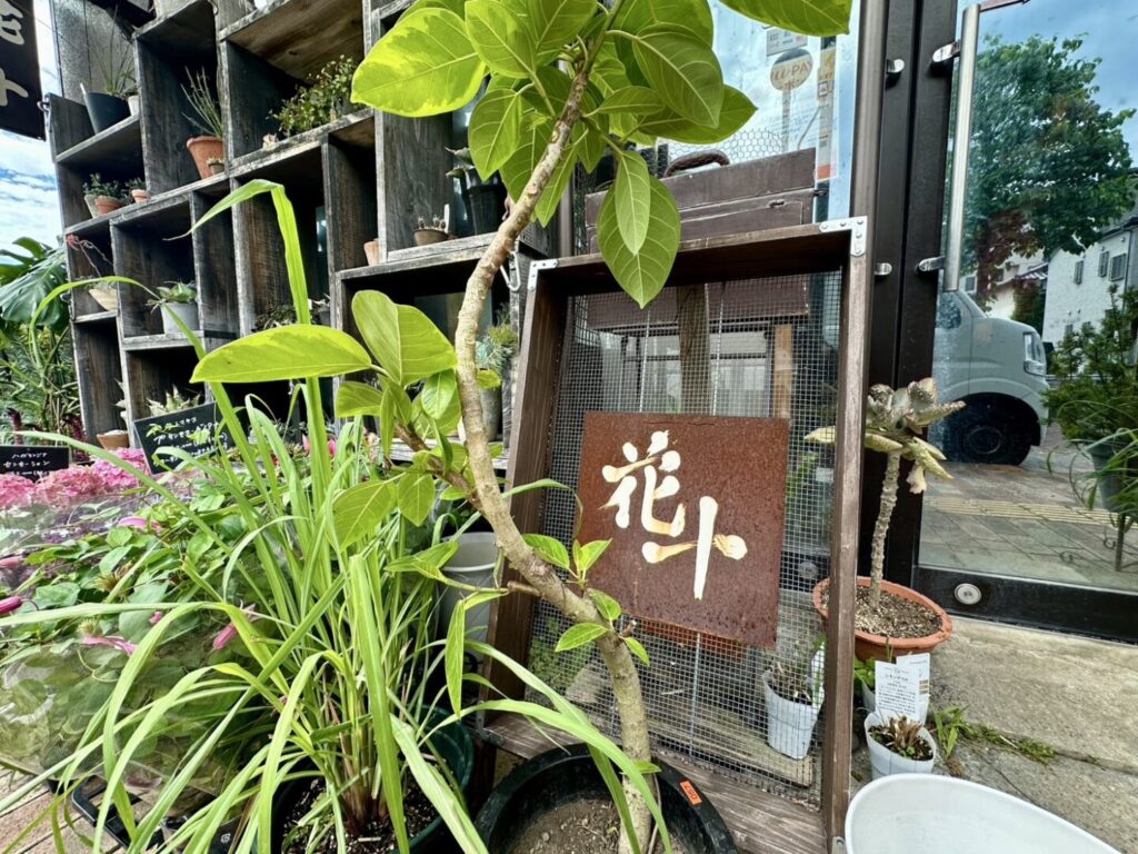 花十