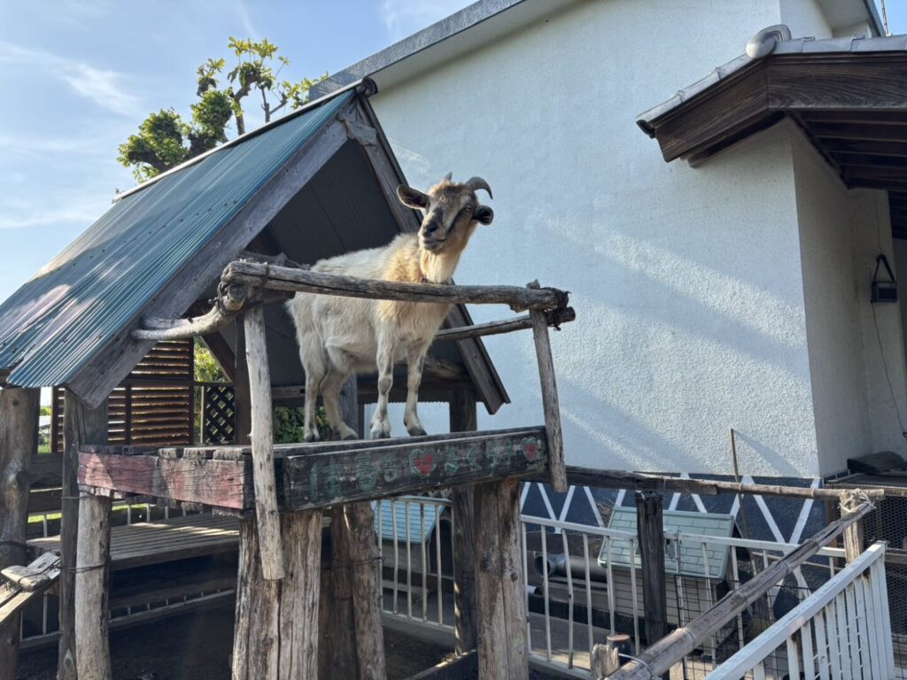 【熊谷市】八木牧パークハウス