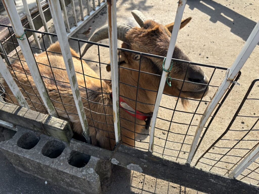 【熊谷市】八木牧パークハウス