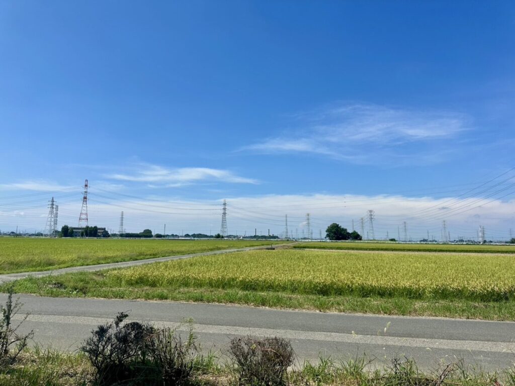 【熊谷市】生粋うどん瑞生庵