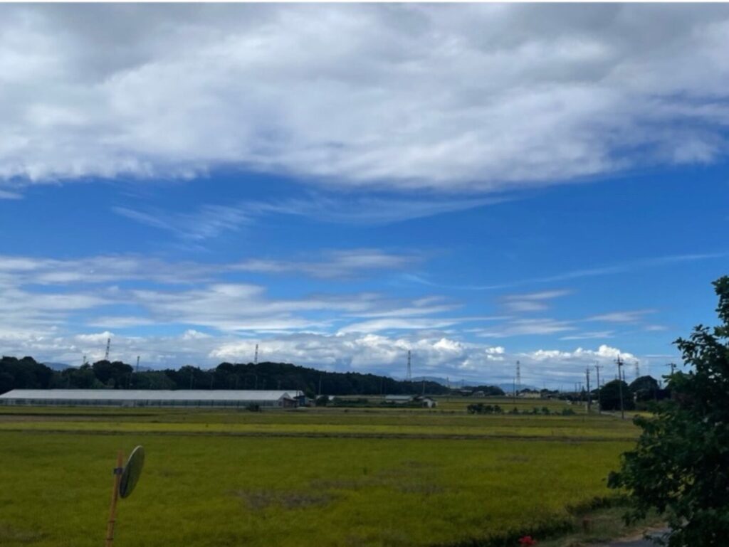 【熊谷市】うどんさくら屋