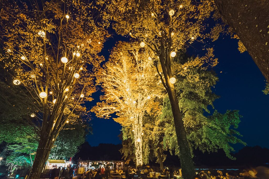 スターライトイルミネーション