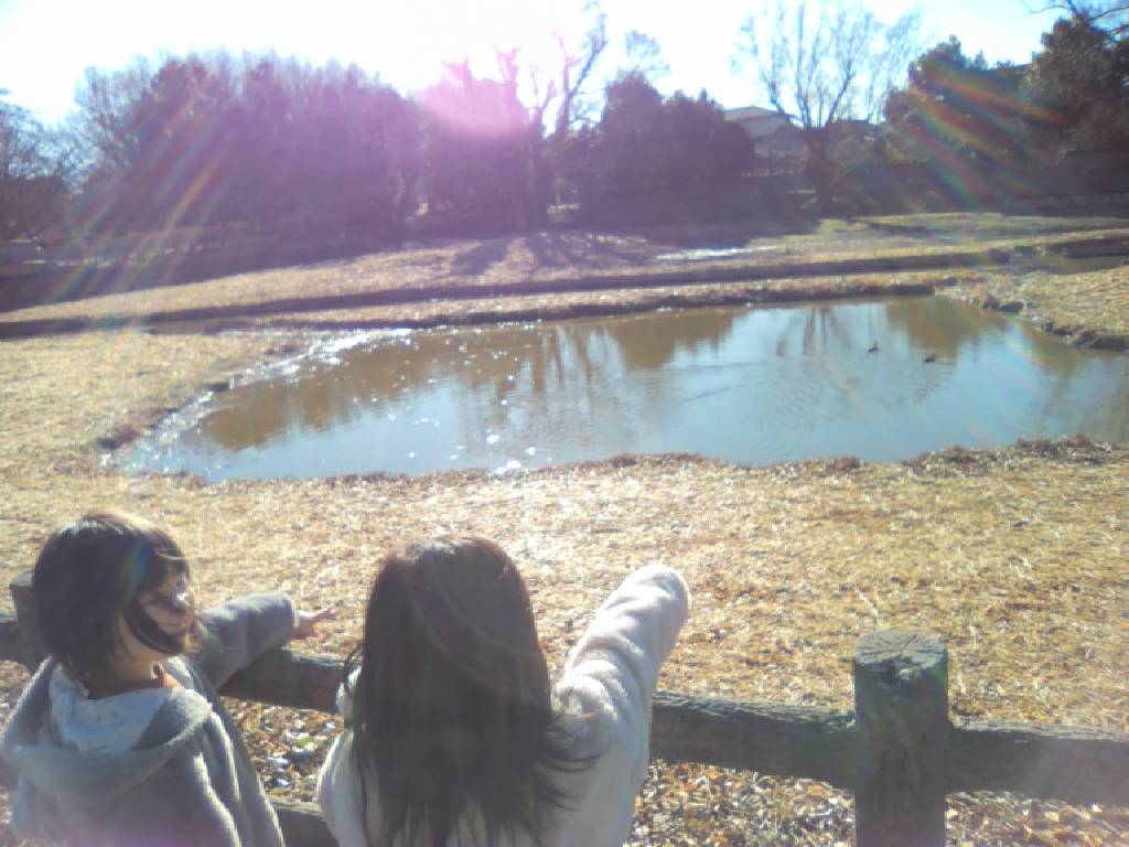 【熊谷市】別府沼公園