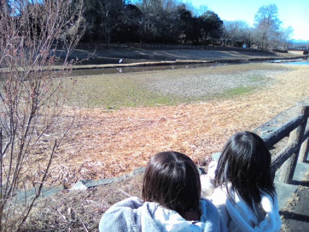 【熊谷市】別府沼公園