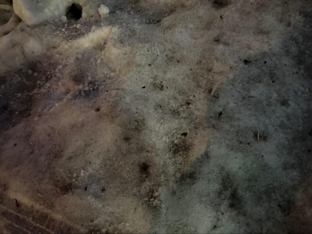 【熊谷市】ハレニワの湯