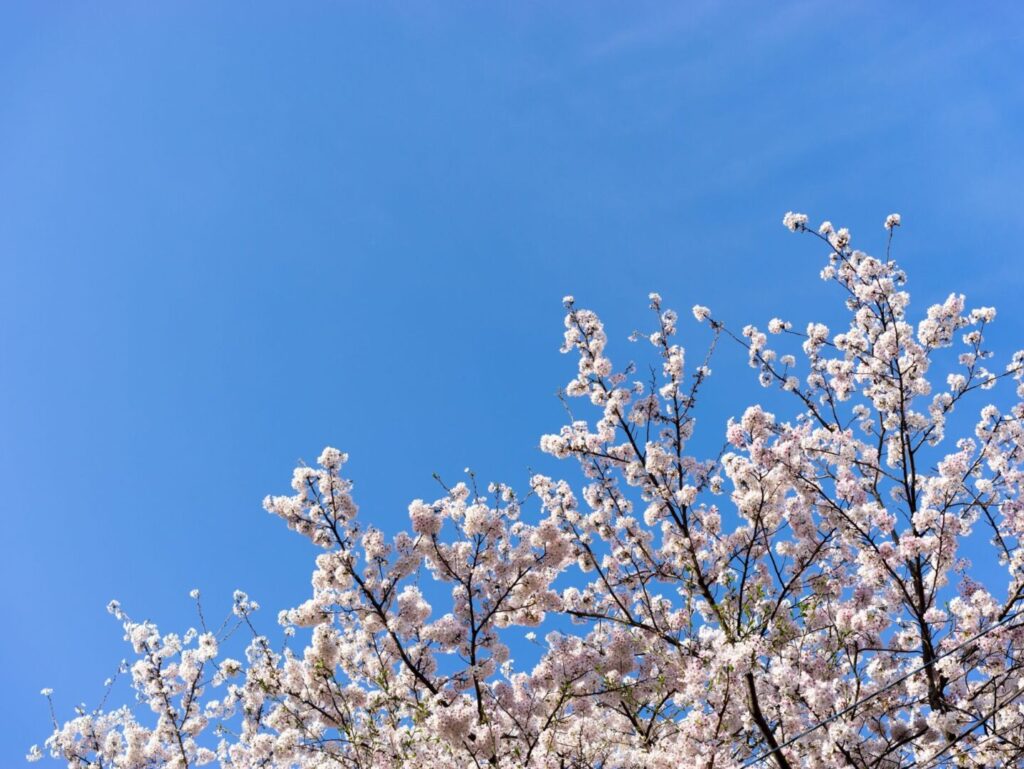 熊谷さくら運動公園