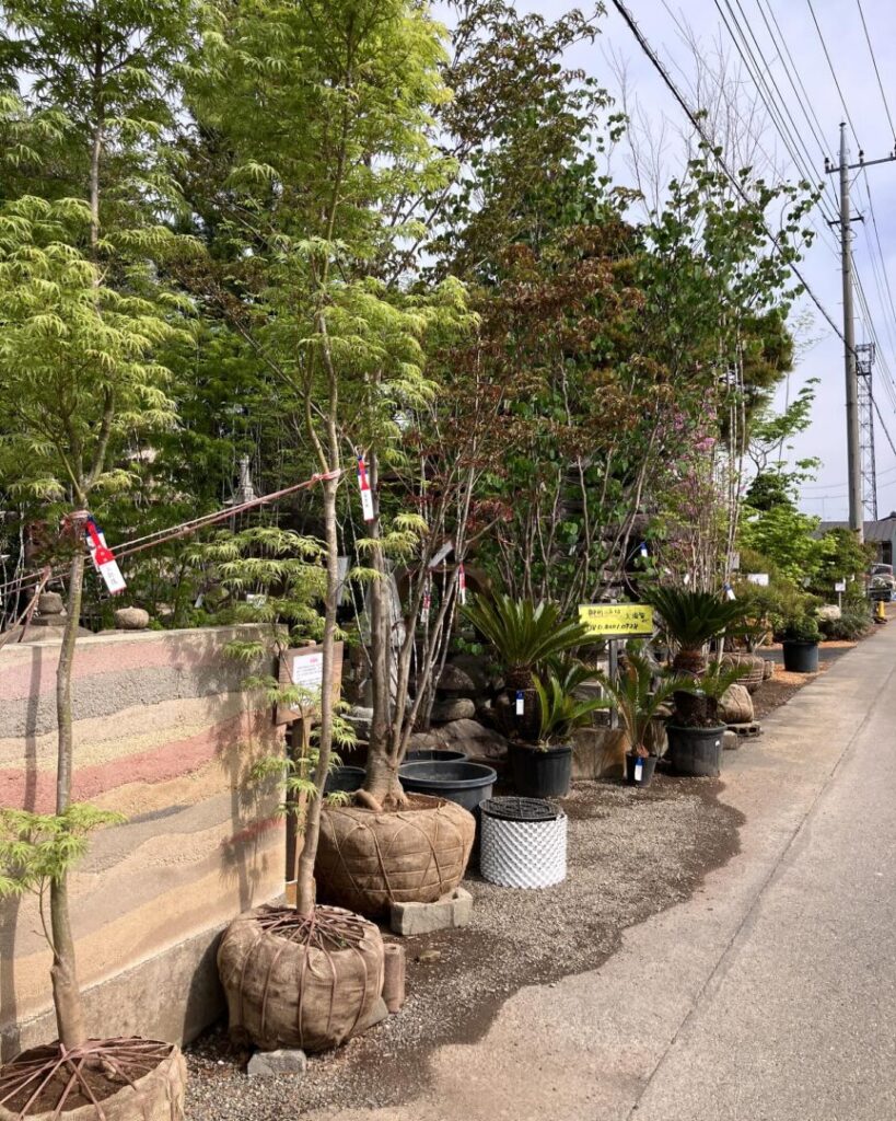 大須賀造園の「春の農場即売会」