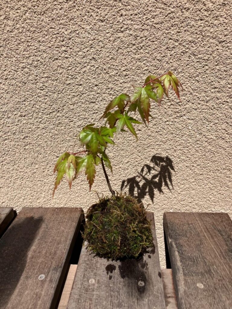 大須賀造園の「春の農場即売会」